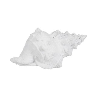 Sagebrook Home Coastal Charm 9" Polyresin White Conch Shell Figurine - 10" x 5" x 5"