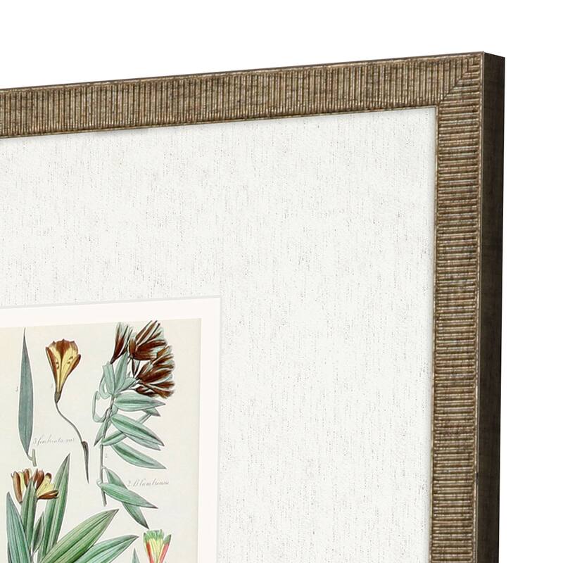 Antique Botanical I S/3 Framed Art Under Glass - Green