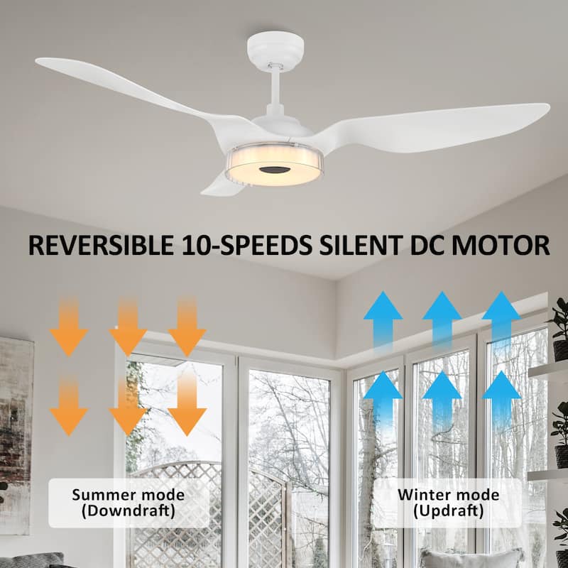 CARRO Felix 56" ABS 3-Blade Indoor Black Smart Ceiling Fan with Light and Remote