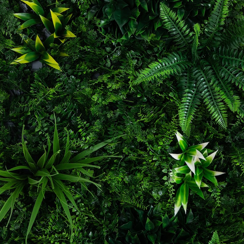 Costa Rican Forest Artificial Living Framed Wall Panel - 40"