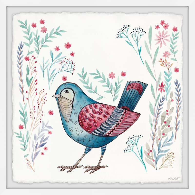 Fine Feathers Framed Print