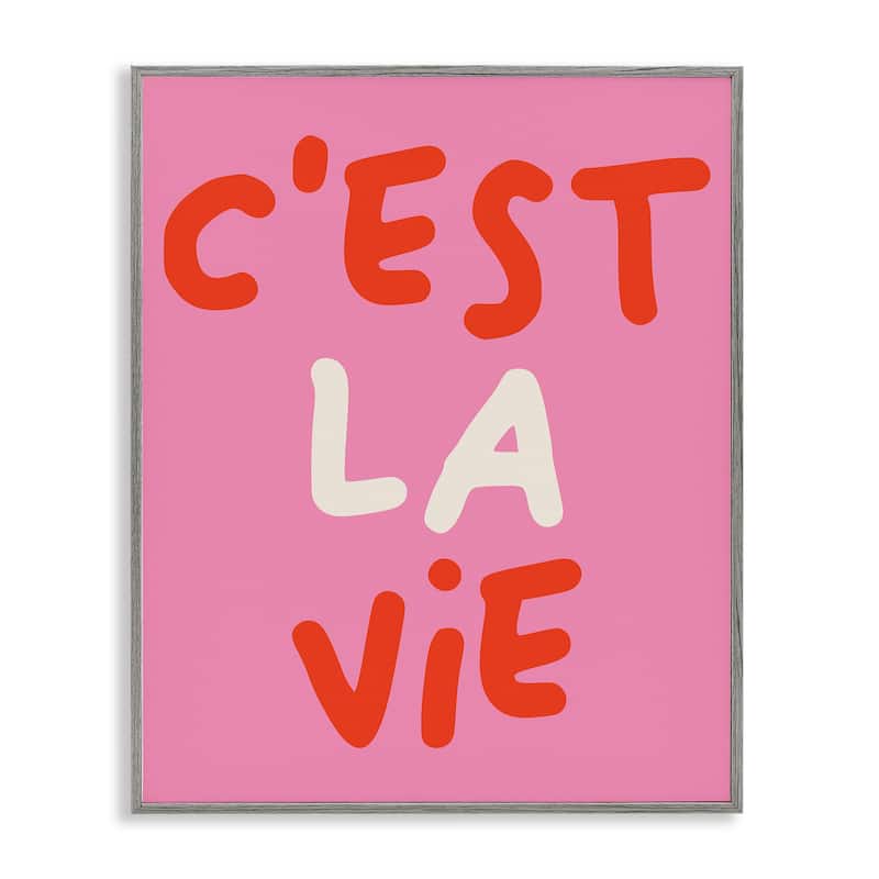 Stupell C'est La Vie on Pink Framed Giclee Art Design By House of Lulu - 24 x 30 - Grey