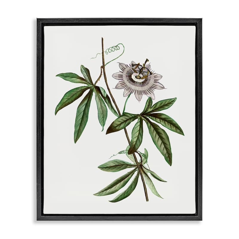 Stupell Vintage Circular Bloom Framed Floater Canvas Wall Art Design By CAD Designs - 17 x 21 - Black