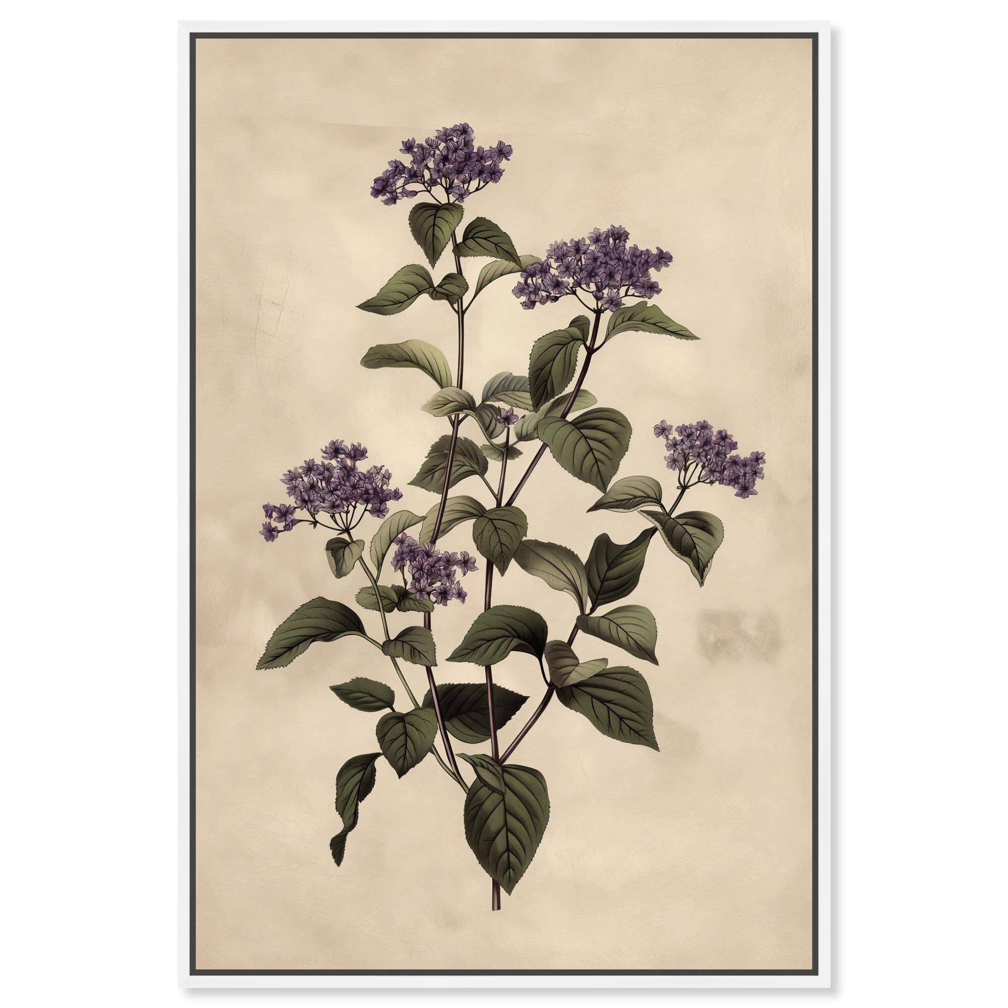 Purple Hydrangea Canvas by Art Remedy