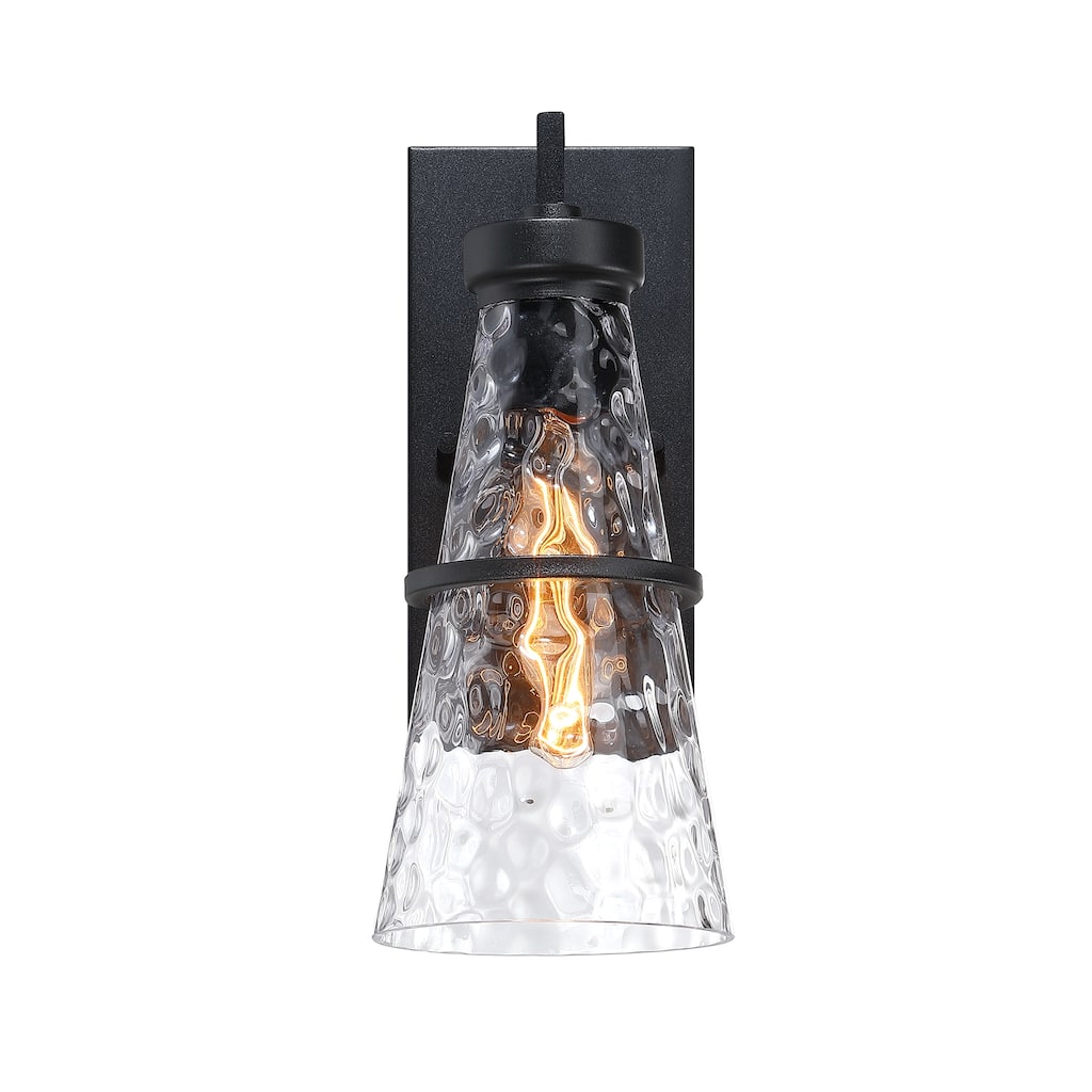 Field Daisy Lane Black Outdoor Hardwired Wall Sconce - 14