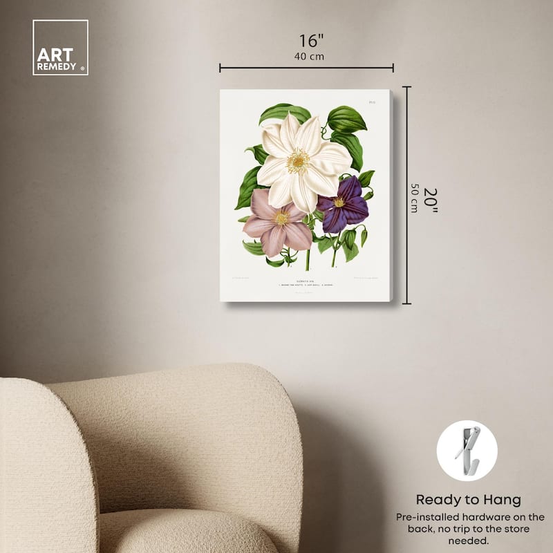 Clematis Canvas by Art Remedy, Gallery Wrapped