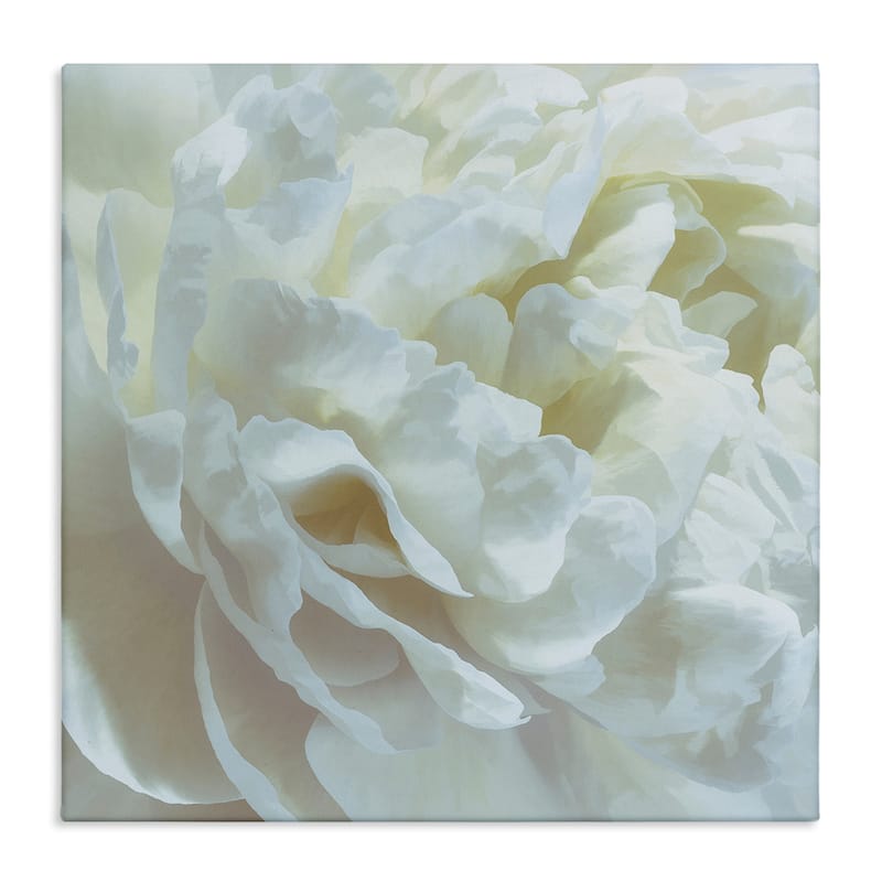 Stupell Elegant White Petals Canvas Wall Art Design By David Pollard - 30 x 30