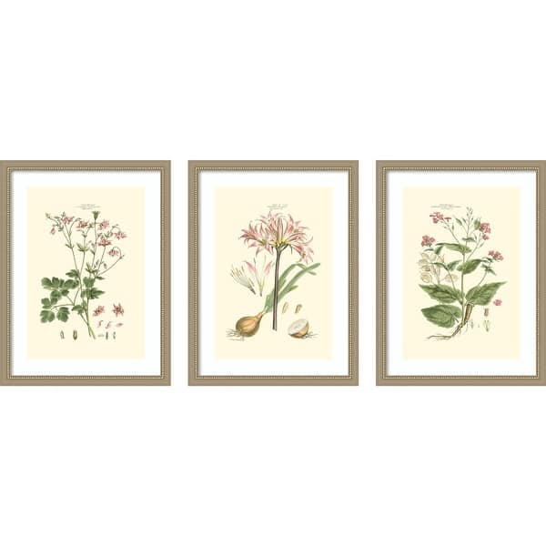 slide 2 of 6, Small Blushing Pink Florals 3 Piece by John Miller Framed Wall Art Prints