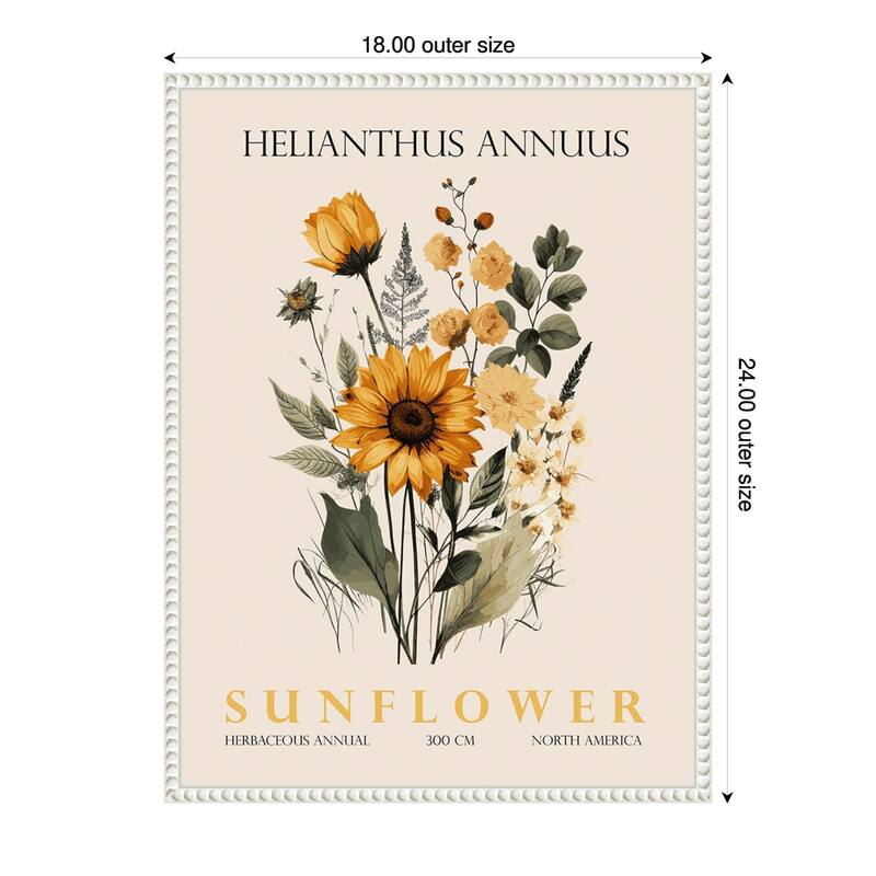 Vintage Botanical Sunflower No. 2 Illustration by Christopher Giampietro Framed Canvas Wall Art Print - White - 18 x 24 in