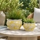 preview thumbnail 2 of 30, Traditional Ceramic Chinoiserie Planters - Set of 2 Yellow - 8.0"