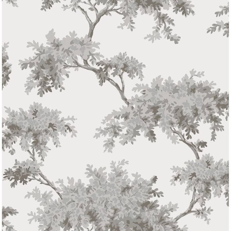 Brewster Ashdown Grey Tree Wallpaper