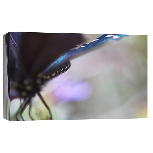 PTM Images 9-101878 PTM Canvas Collection 8" x 10" - "Butterfly Az 3" Giclee Butterflies Art Print on Canvas