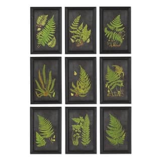 Framed Fern Botanical Prints, Set Of 9