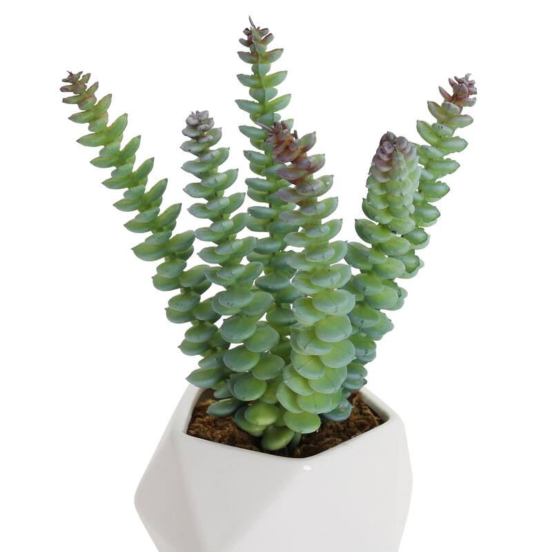 Artificial Succulent