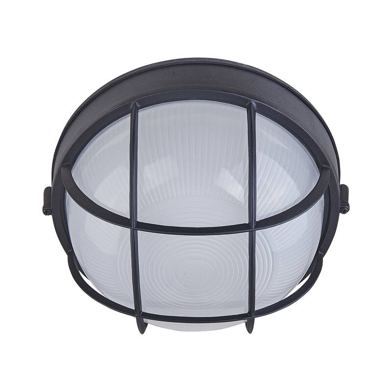 2-Light 11" Outdoor Ceiling Light, Black Finish with Clear Glass Shade