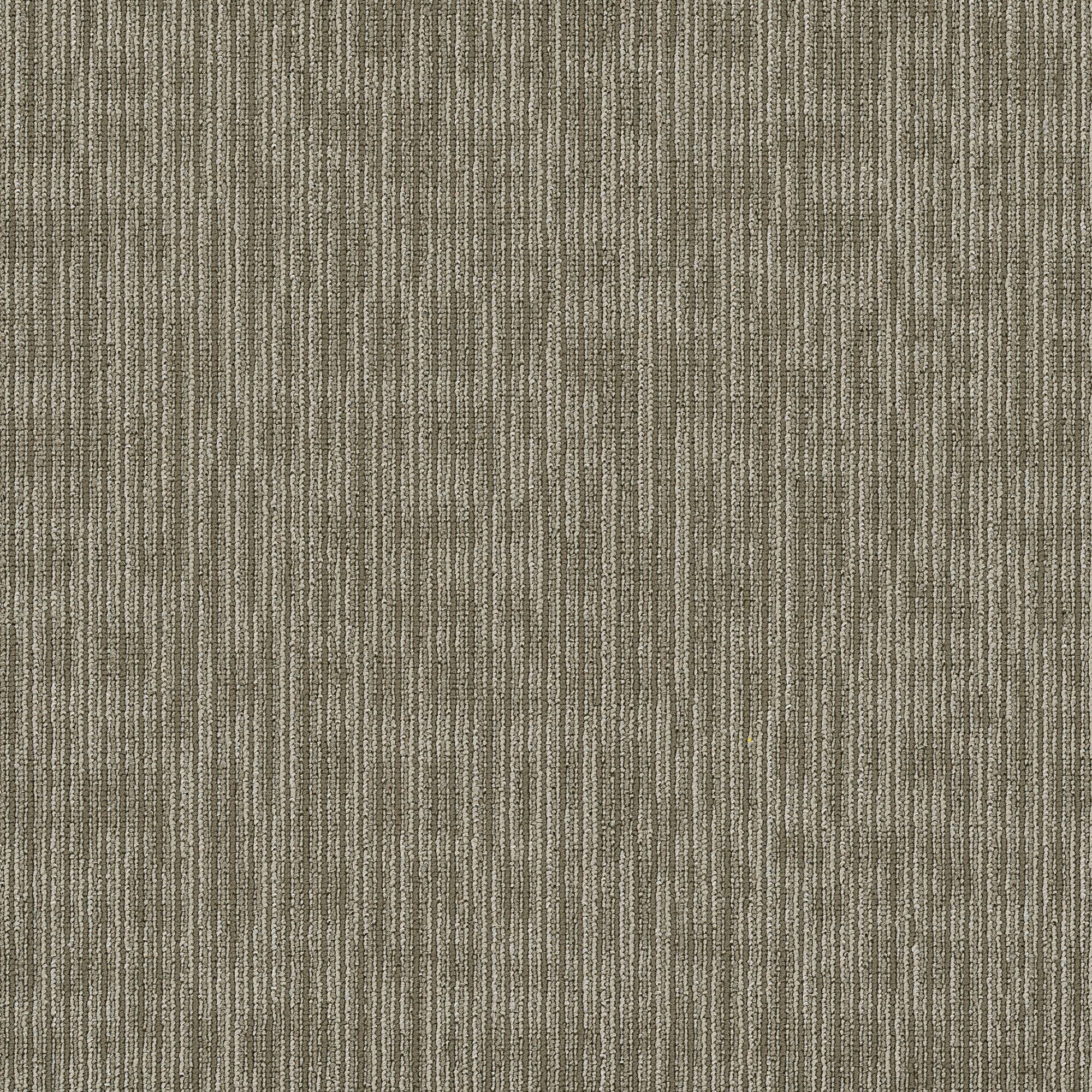 Shaw Philadelphia Commercial Genius 24" x 24" Glue Down Carpet Tile -