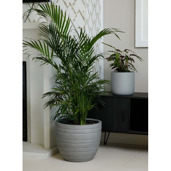 Indoor/Outdoor Large Nordic Minimalist Fiberstone Lightweight Round Planter  Pot - 21, 18, 15 inch Cement Finish - On Sale - Bed Bath & Beyond - 34070777