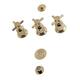 Option Polished Brass