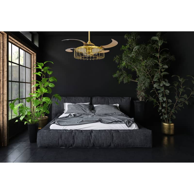Fanaway Sheridan 48-inch AC Ceiling Fan with Light