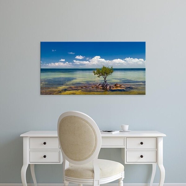 Easy Art Prints Panoramic Image 'Single Mangrove tree in the Gulf of Mexico in the Florida Keys, Florida' Canvas Art
