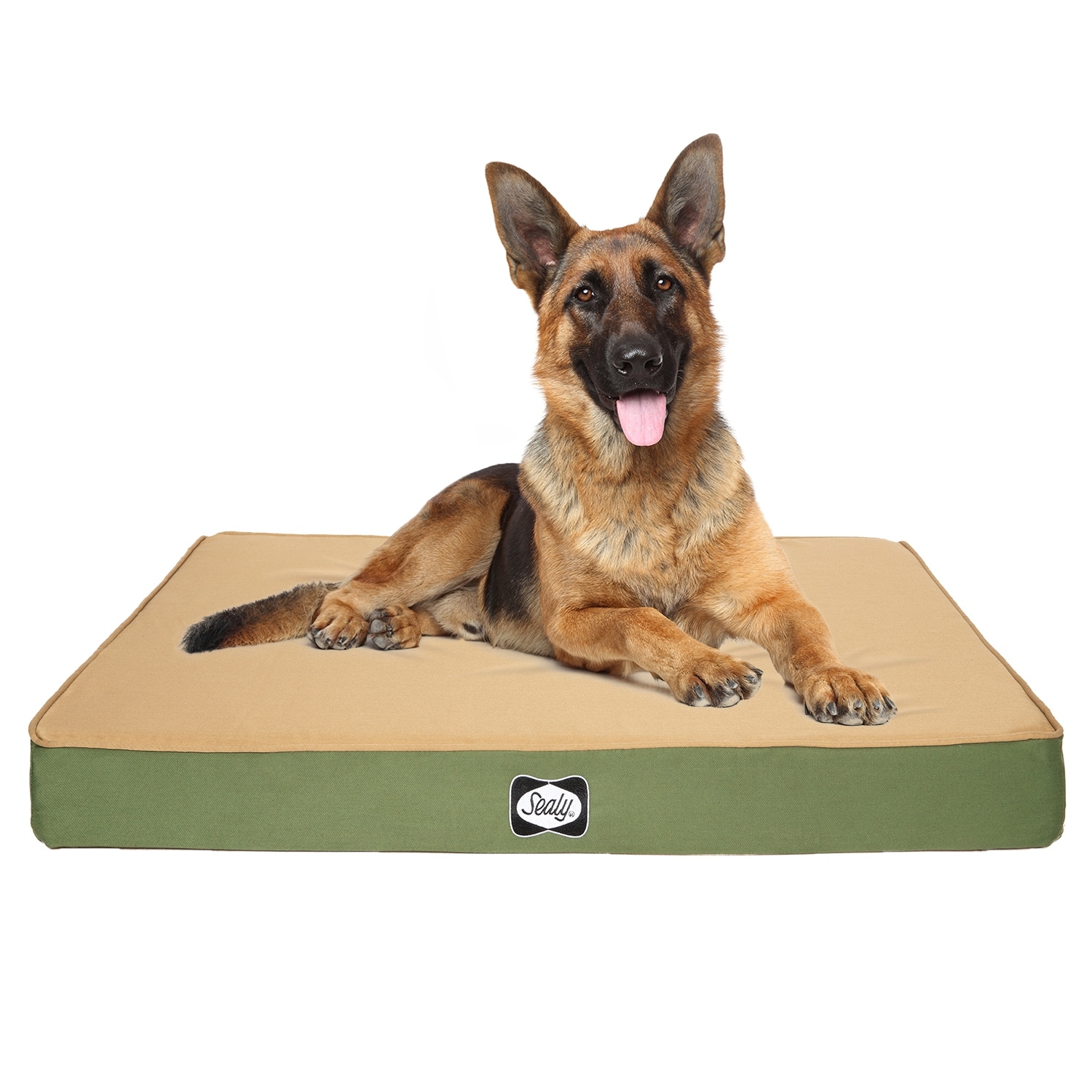 sealy dog bed replacement liner