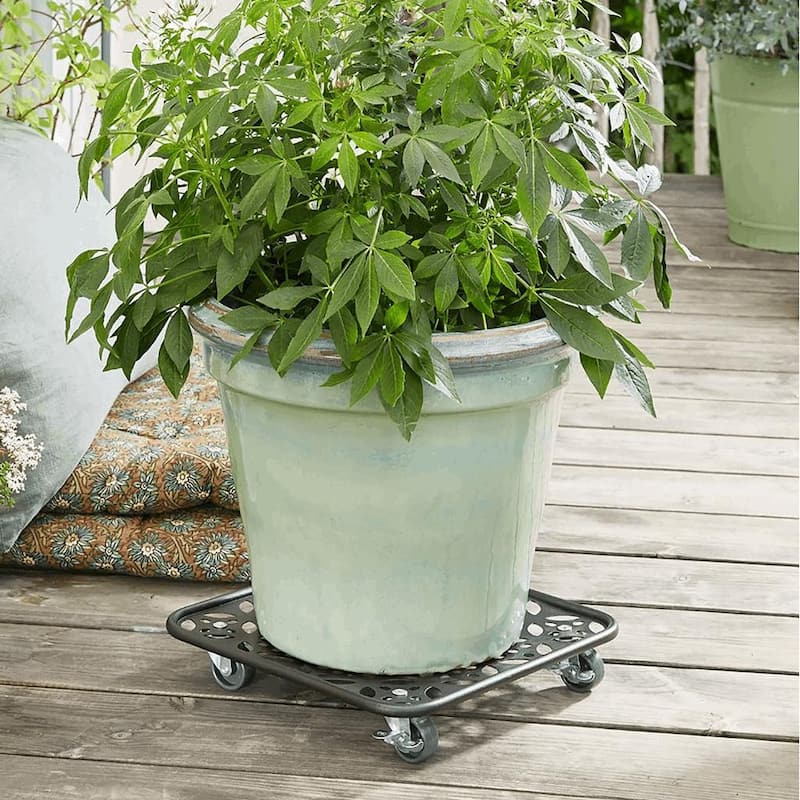 Black Flower Indoor/Outdoor Steel Plant Caddy - Round or Square