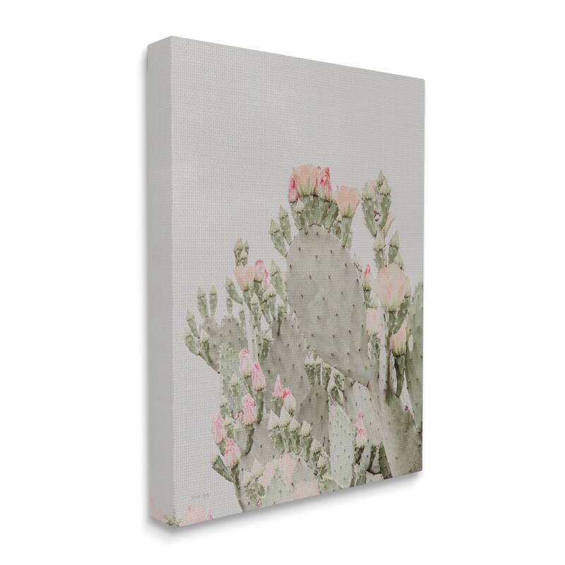 Stupell Pink Cactus Blossoms Stretched Canvas Wall Art, Design by Jennifer Rigsby