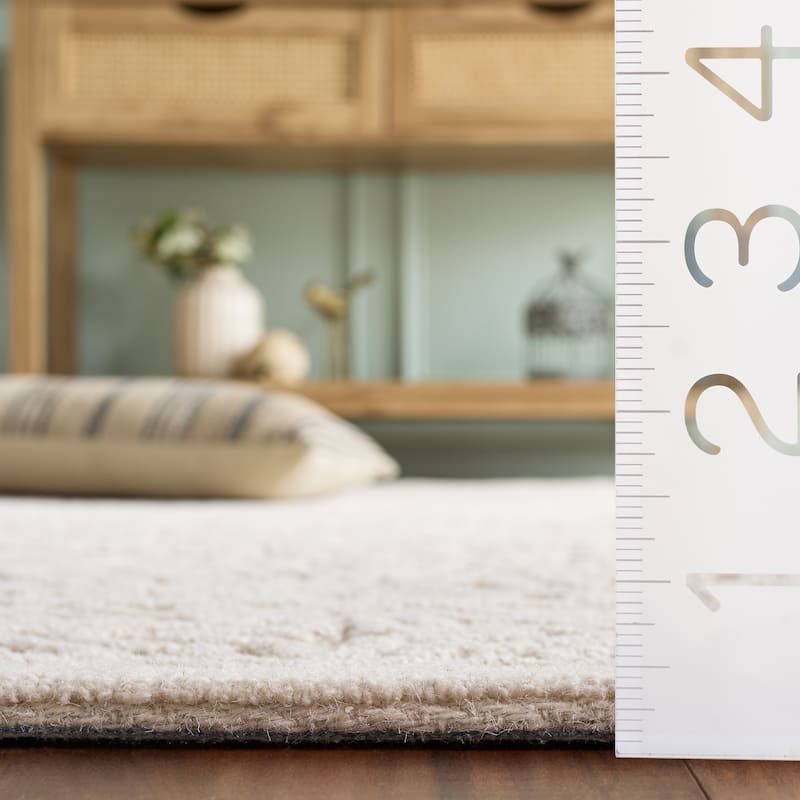 SAFAVIEH Handmade Textural Stefania Wool Rug