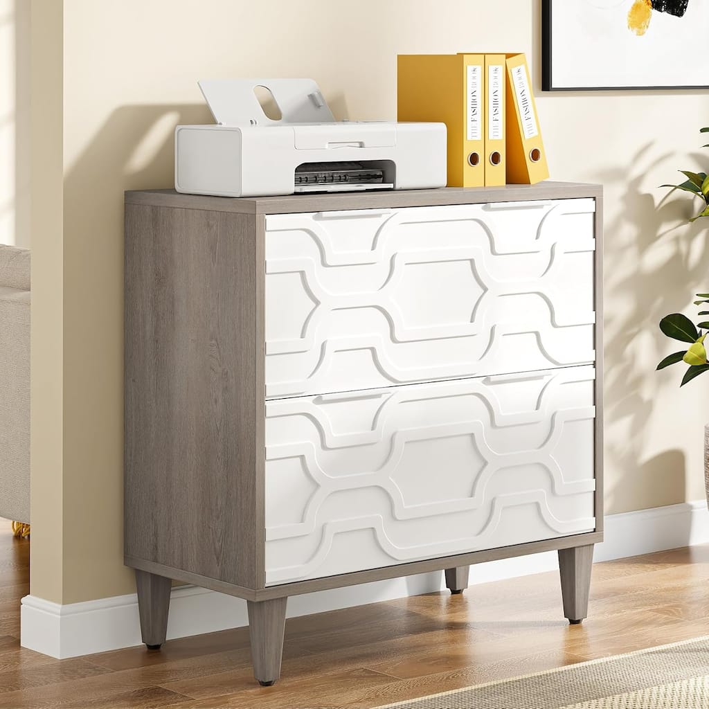 2-Drawer File Cabinet, Lateral Filing Cabinet, Office Storage Cabinet, Printer Stand with Storage Drawer White & Gray