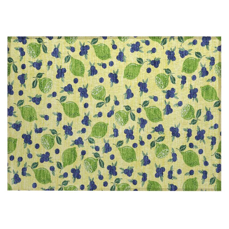 Machine Washable Indoor/ Outdoor Citrus Berry Chantille Rug