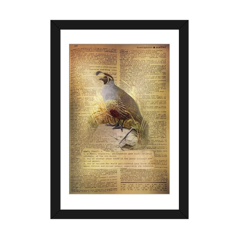 iCanvas "Q - Quail" by 5by5collective - Black - 32x24x1