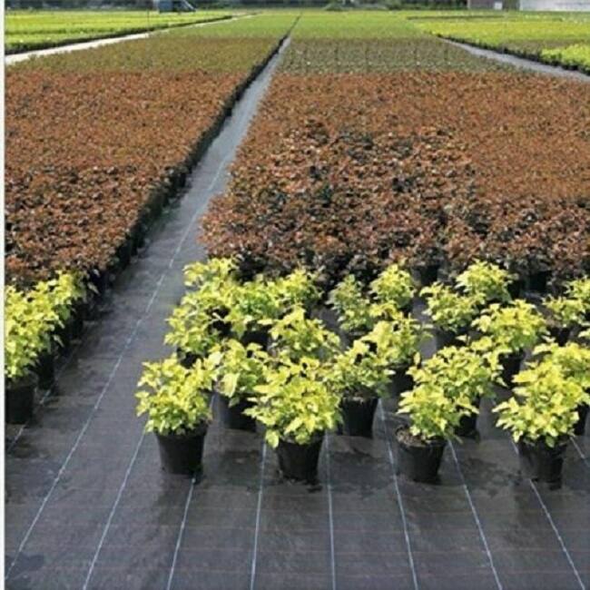 Agfabric WB15-4x50ft Landscape Fabric Non Woven Weed Control Fabric - 4x50ft