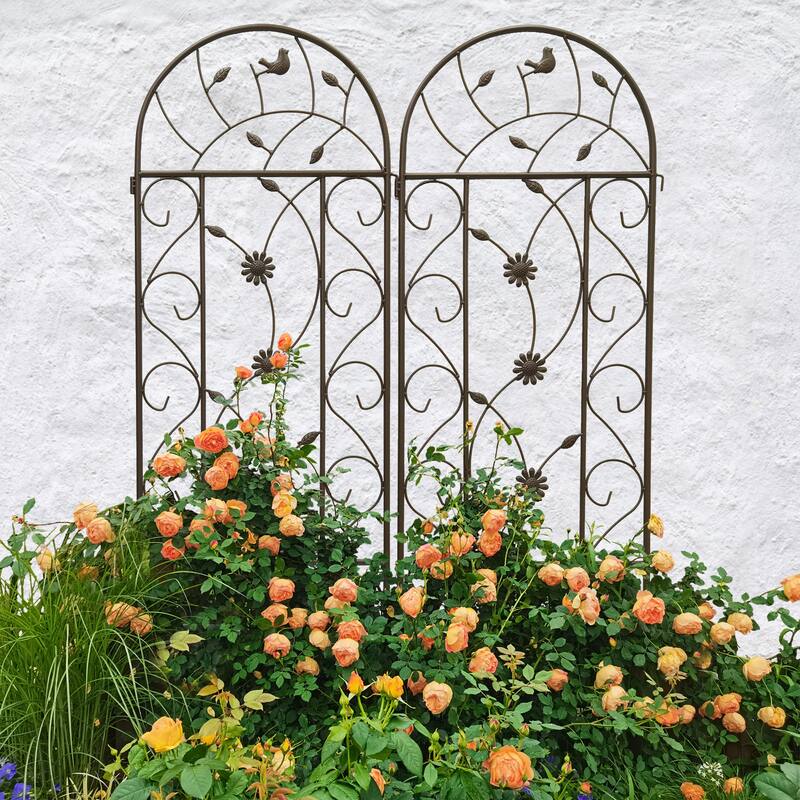 2 Pack Metal Garden Trellis Rustproof Trellis for Climbing Plants Outdoor Flower Support - Accent Brown