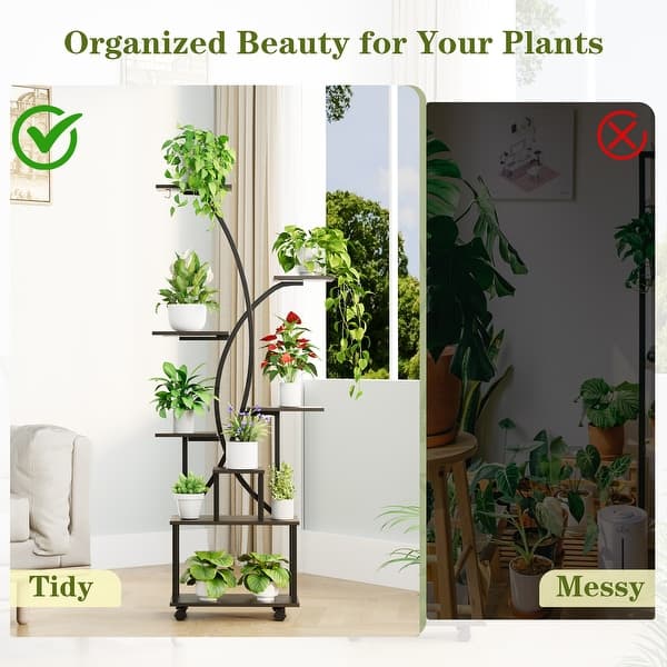 anthurium balaoanuanthurium balaoanumm Anthurium balaoanum