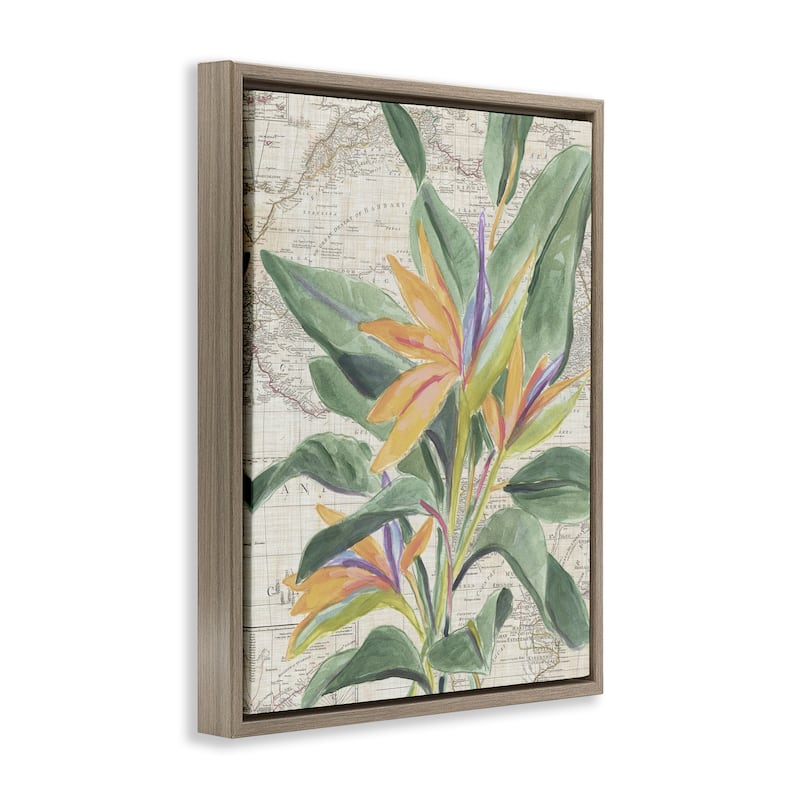 Stupell Tropical Flower over Map Framed Floater Canvas Wall Art Design By June Erica Vess