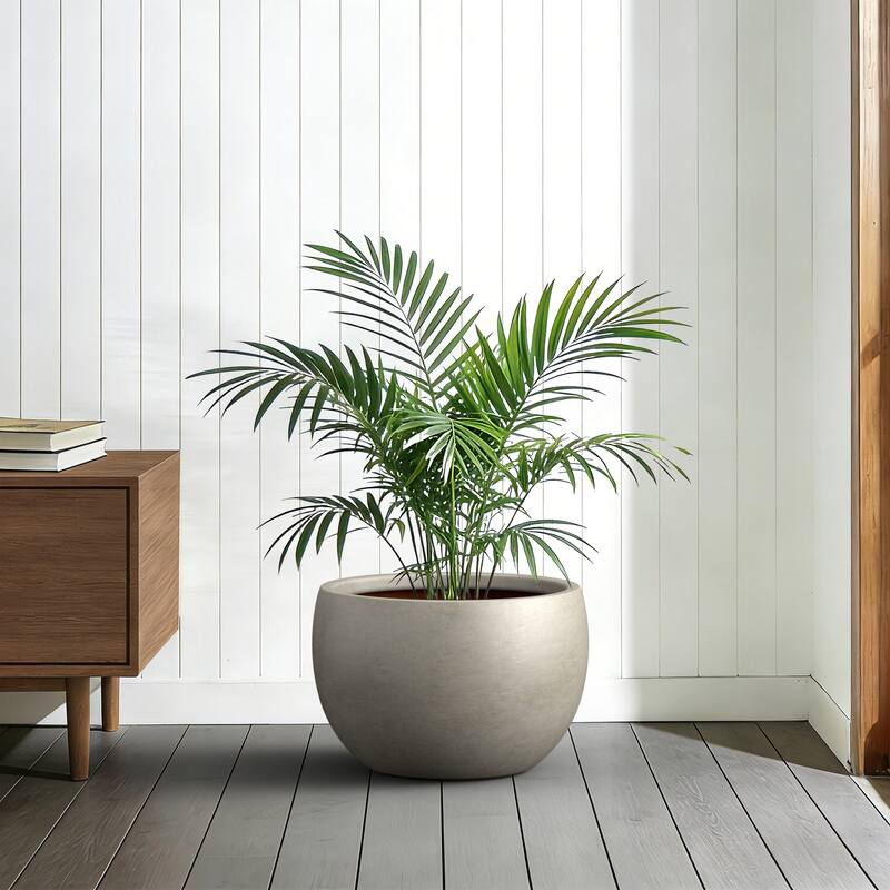 Concrete Round Bowl Planter with Drainage Hole(Upgraded Interior)