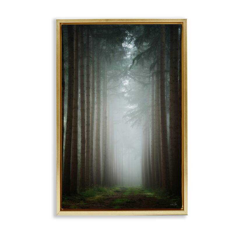 Stupell Moonlight Through Dark Forest Framed Floater Canvas Wall Art Design By Martin Podt - 21 x 31 - Gold
