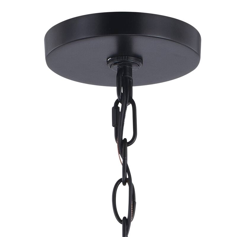 Hayes Black Farmhouse Open Cage Indoor/ Outdoor Pendant Lantern