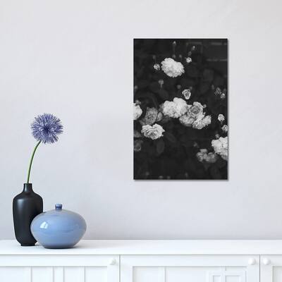 iCanvas "Black And White Roses" by Ruby and B Canvas Print