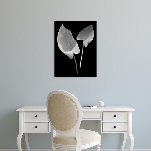 Easy Art Prints Alan Blaustein's 'Floral B