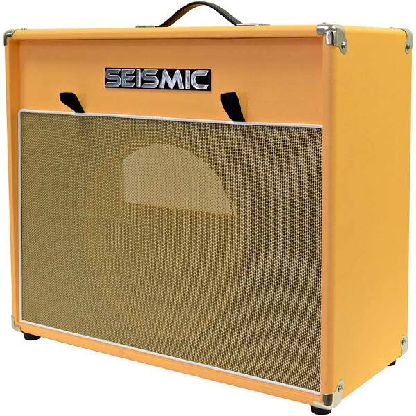 Shop Seismic Audio 1x12 Guitar Speaker Cab Empty Cabinet