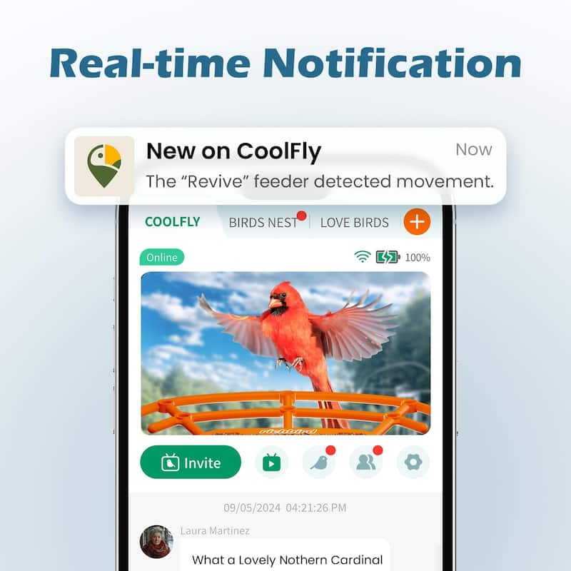 Smart Solar Bird Feeder with Camera and Interactive App