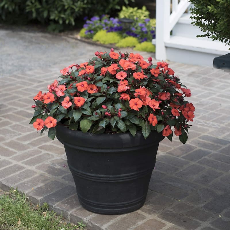 Brunello Classic Round Planter