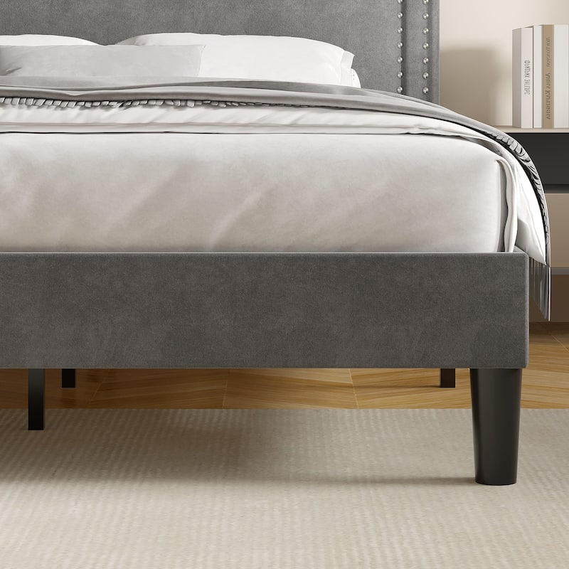 Upholstered Platform Bed Frame with Adjustable Headboard Velvet Nailhead Trim No Box Spring Needed