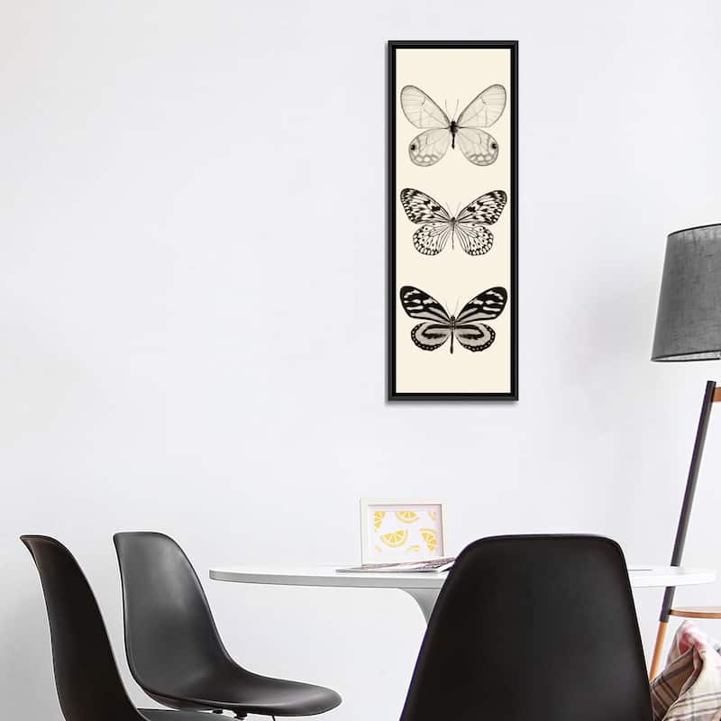 iCanvas "Butterfly Panel II In B&W" by Debra Van Swearingen Framed Canvas Print