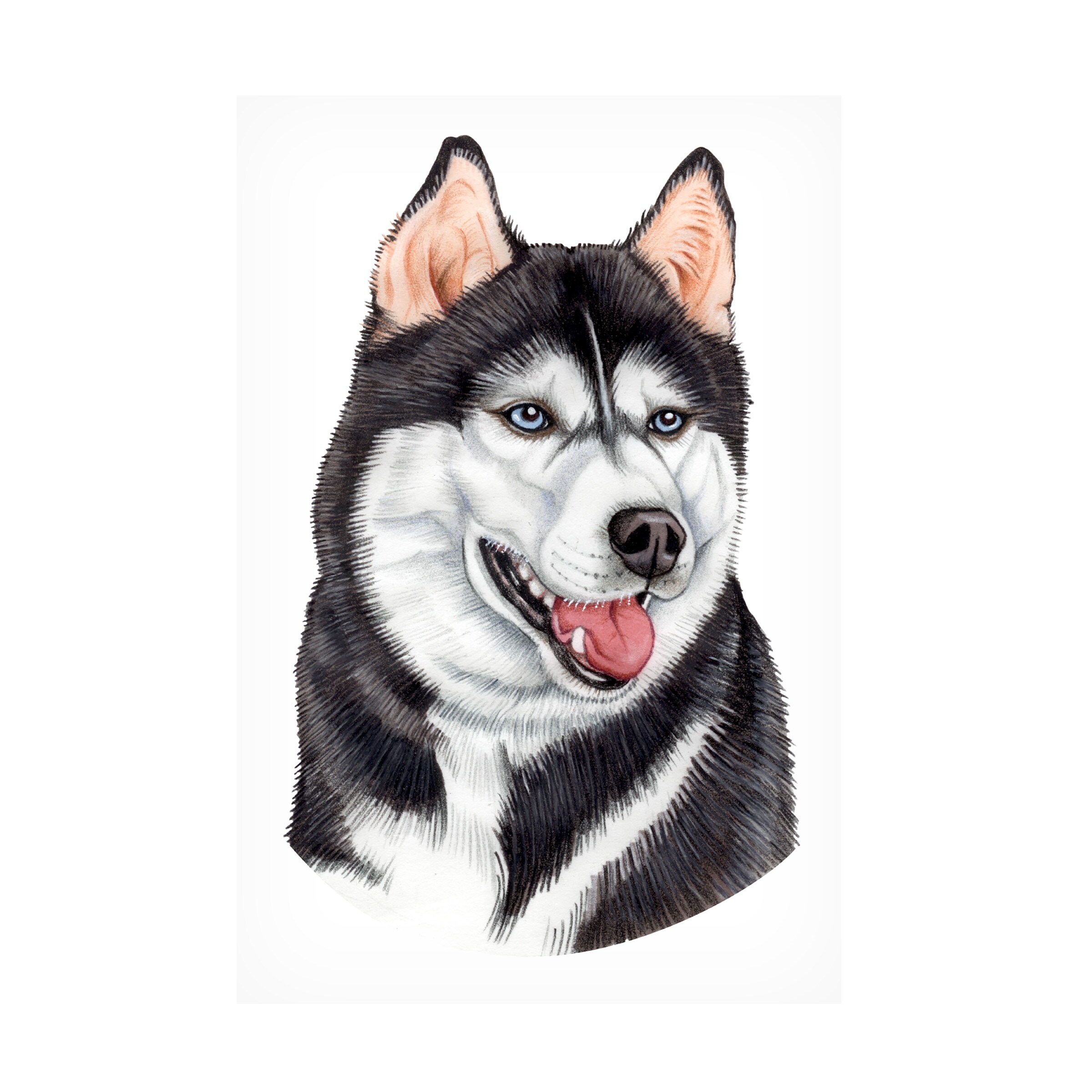 Husky canvas prints clearance