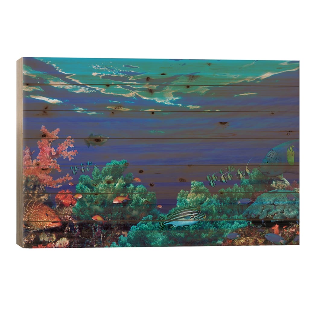 Underwater Coral Reef Community Print On Wood by Panoramic Images - Multi-Color