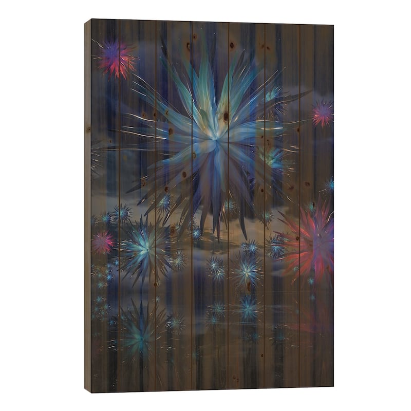 Urchins Print On Wood by Evan Rhodes - Multi-Color - 40x26x1.5