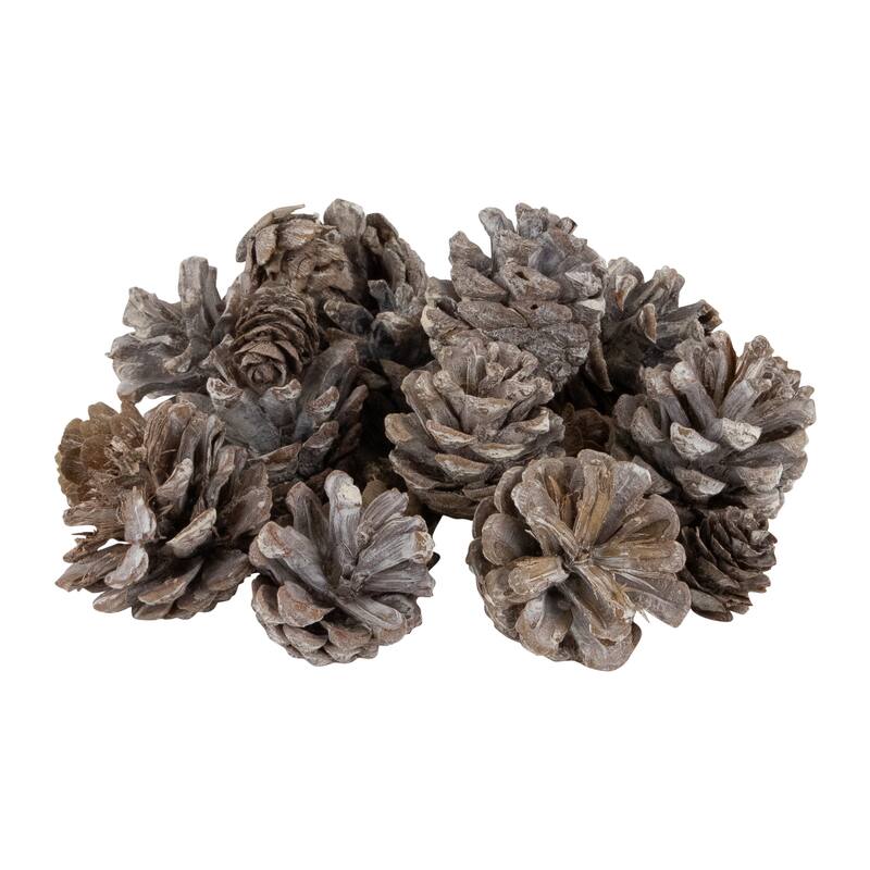 Glittered Berries and Pinecones Christmas Decorations - 6"