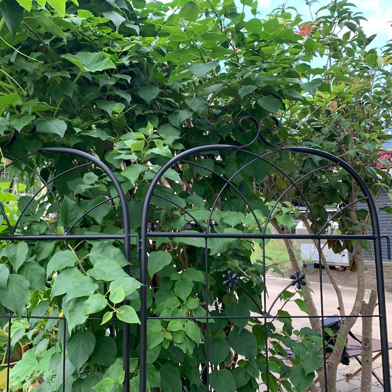 Metal Garden Trellis, 2 Pack Metal Trellis for Climbing Plants, Indoor/Outdoor Plant Trellis, Lawn Garden Fence Decor Screen